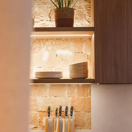 Apartment Bravissimo Estudi Verd, In The Historic Centre *